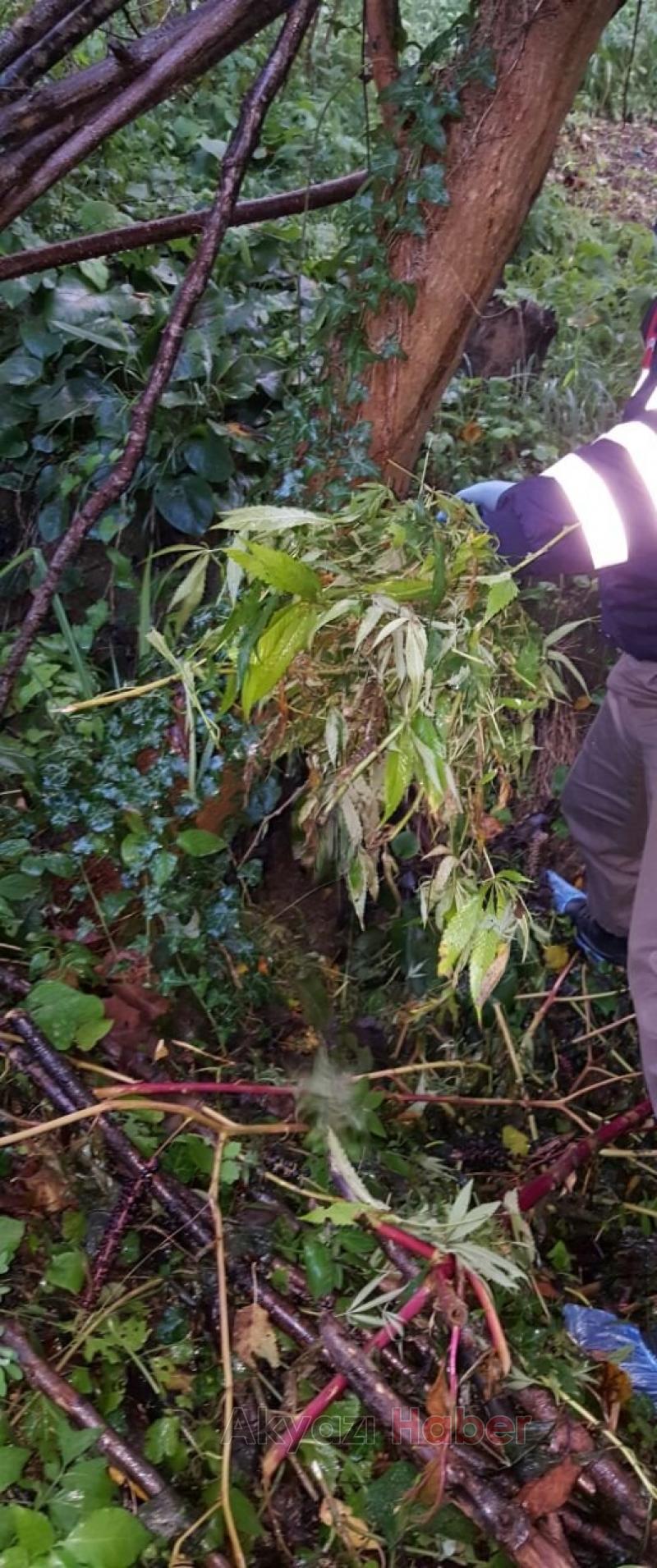 Jandarma Uyuşturucu Tacirini Affetmedi