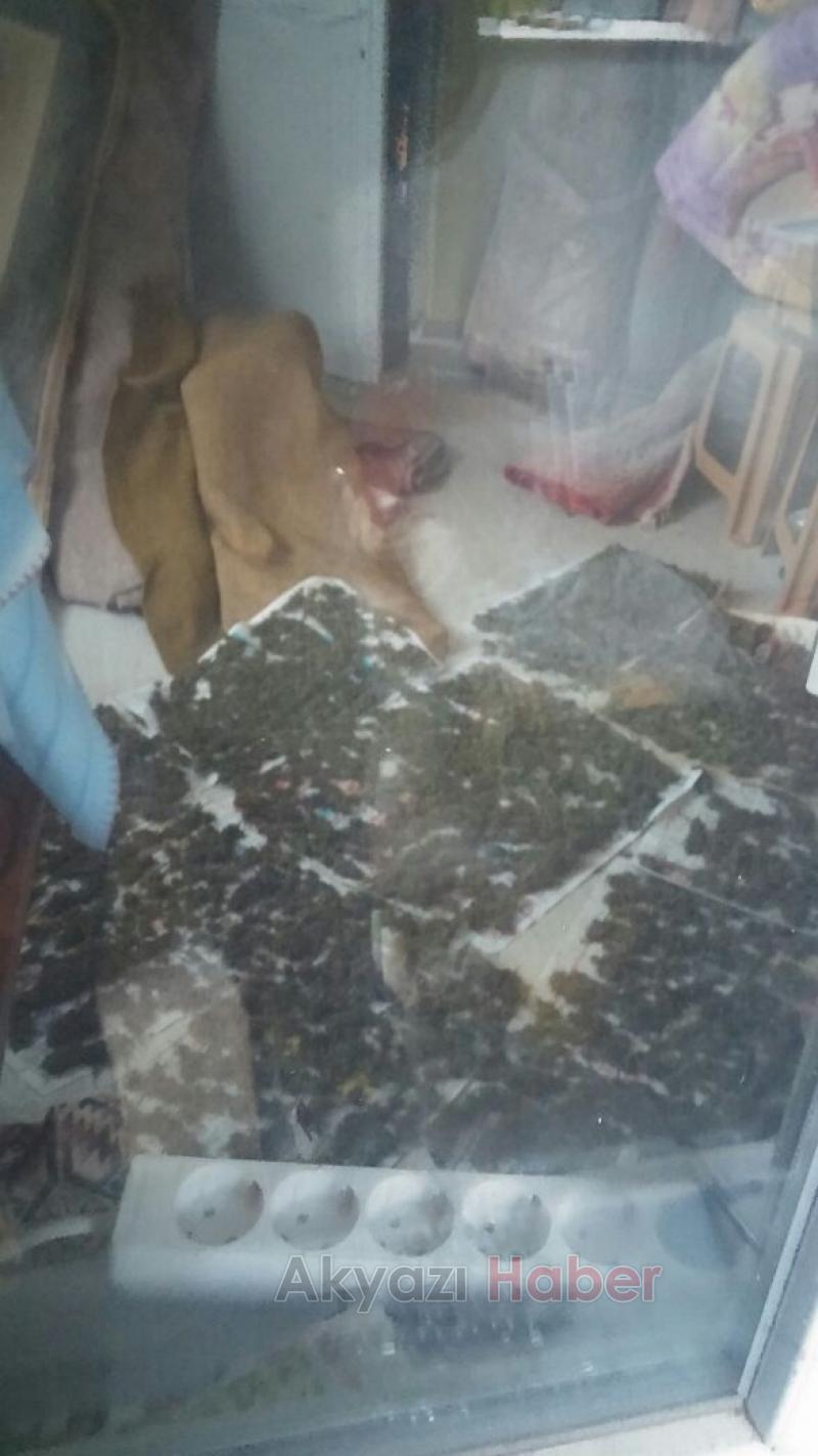 Jandarma Uyuşturucu Tacirini Affetmedi