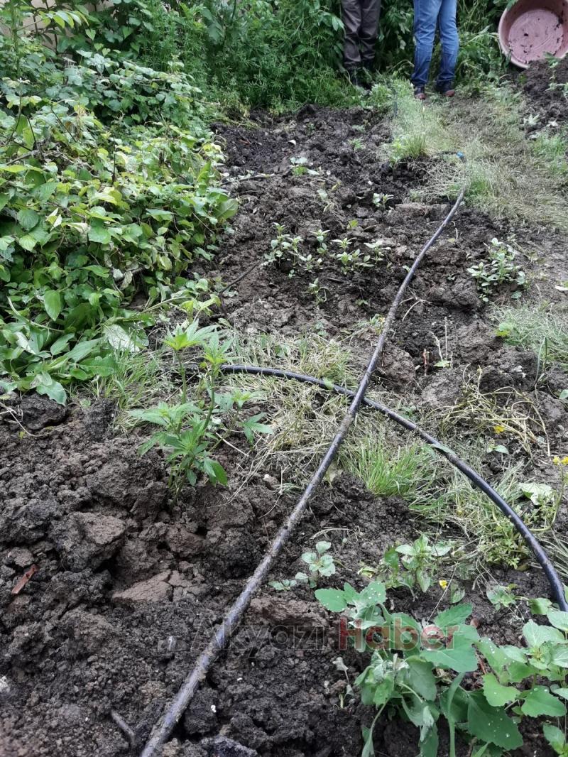 JANDARMA ZEHİR TACİRLERİNE GÖZ AÇTIRMIYOR