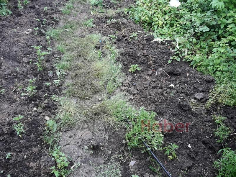 JANDARMA ZEHİR TACİRLERİNE GÖZ AÇTIRMIYOR