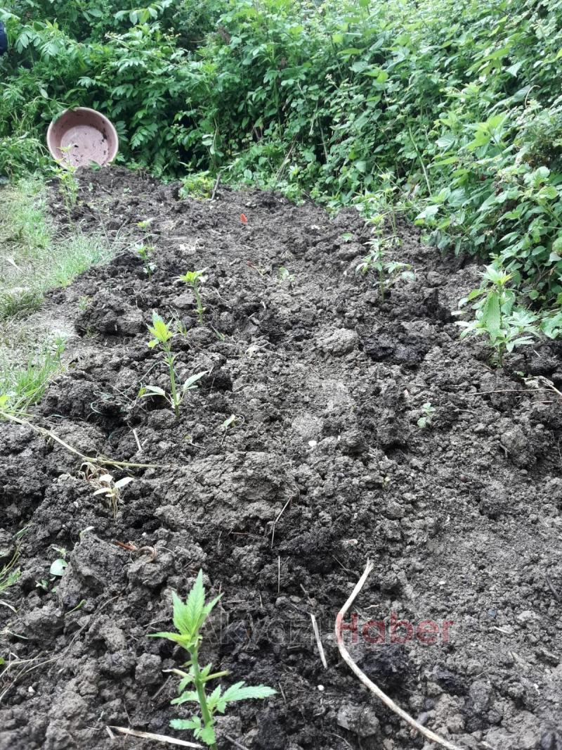 JANDARMA ZEHİR TACİRLERİNE GÖZ AÇTIRMIYOR