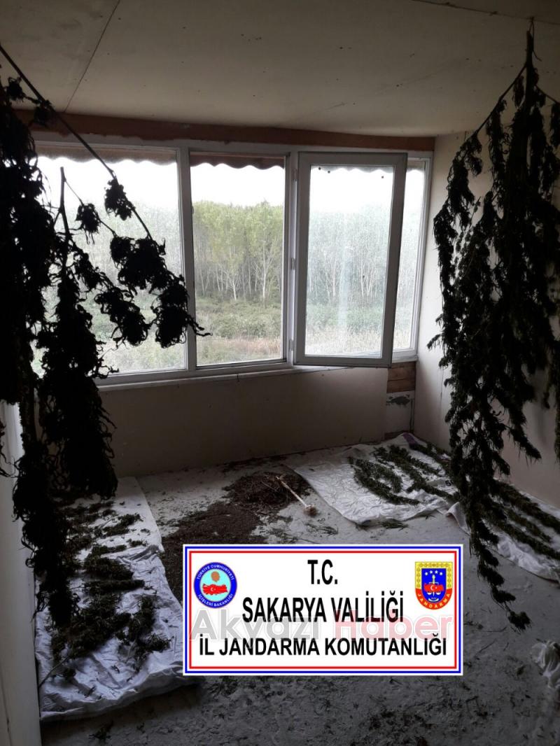 Jandarmadan 5 İlçede Operasyon Yaptı