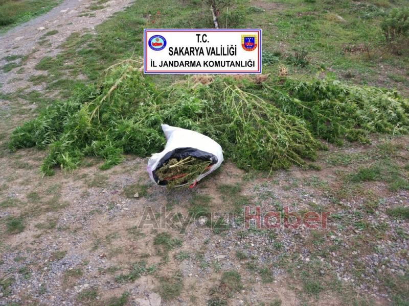 Jandarmadan 5 İlçede Operasyon Yaptı