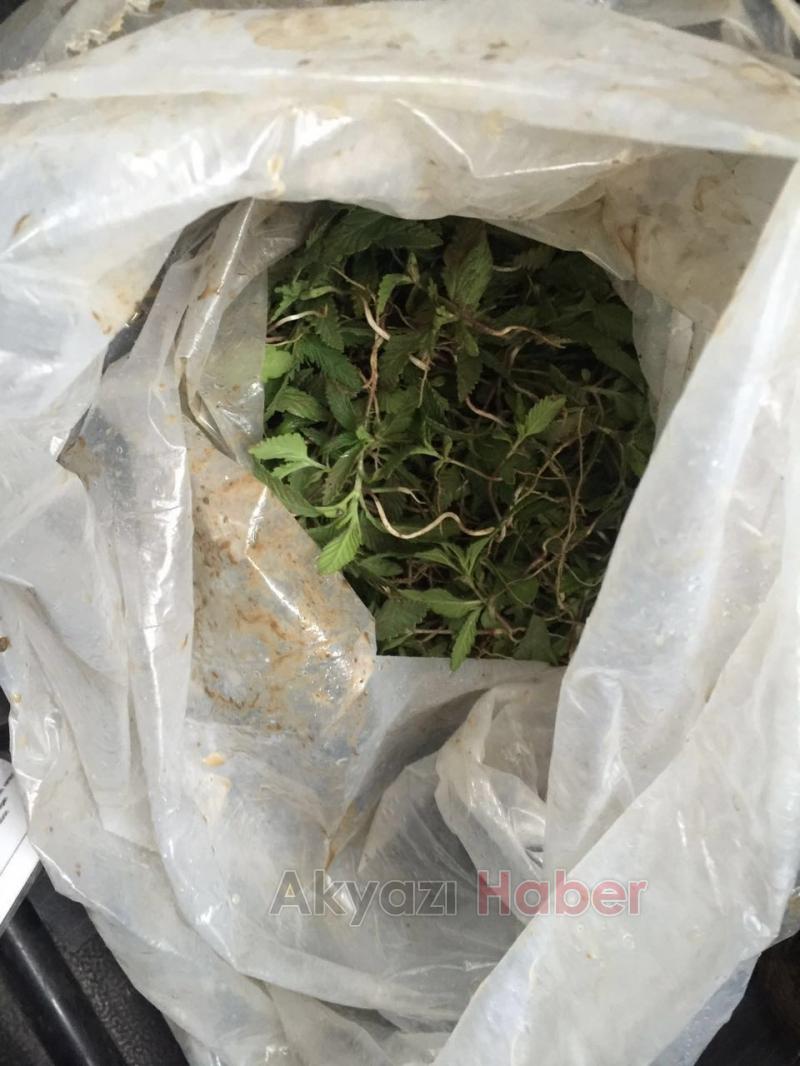 Jandarmadan Esrar Operasyonu