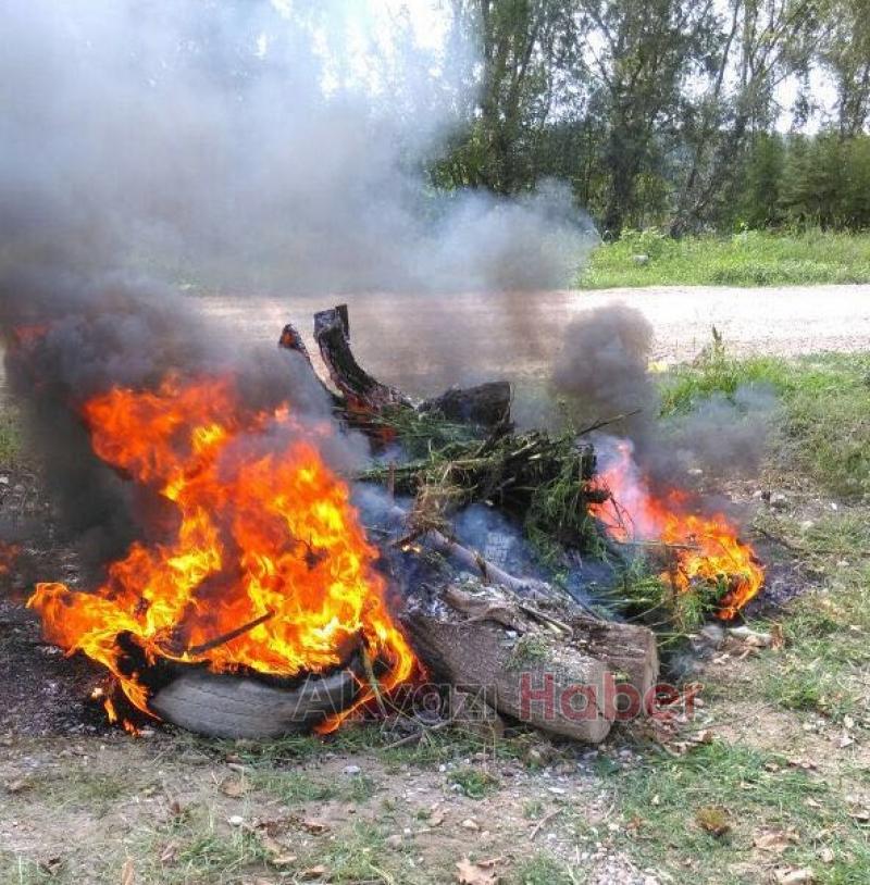 Jandarma’dan Kenevir Operasyonu