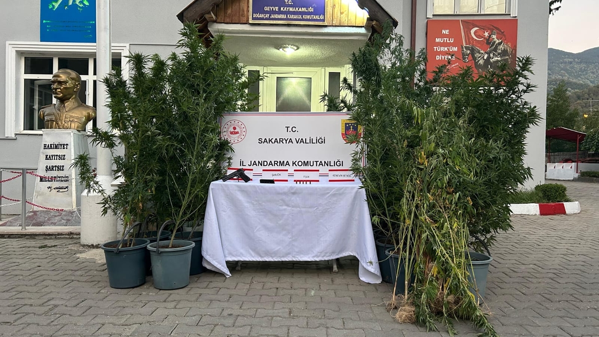 Jandarmadan uyuşturucu operasyonu