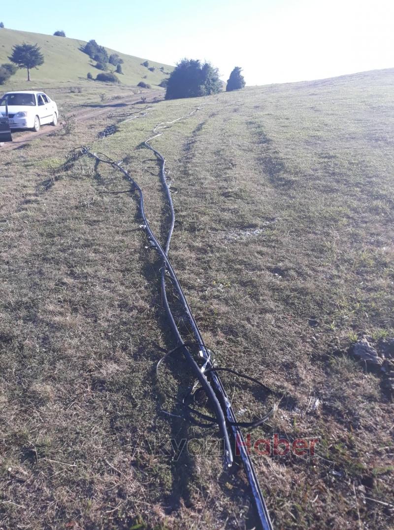 Kabloları Sultanpınar Yaylasına Getirip Ayıkladılar