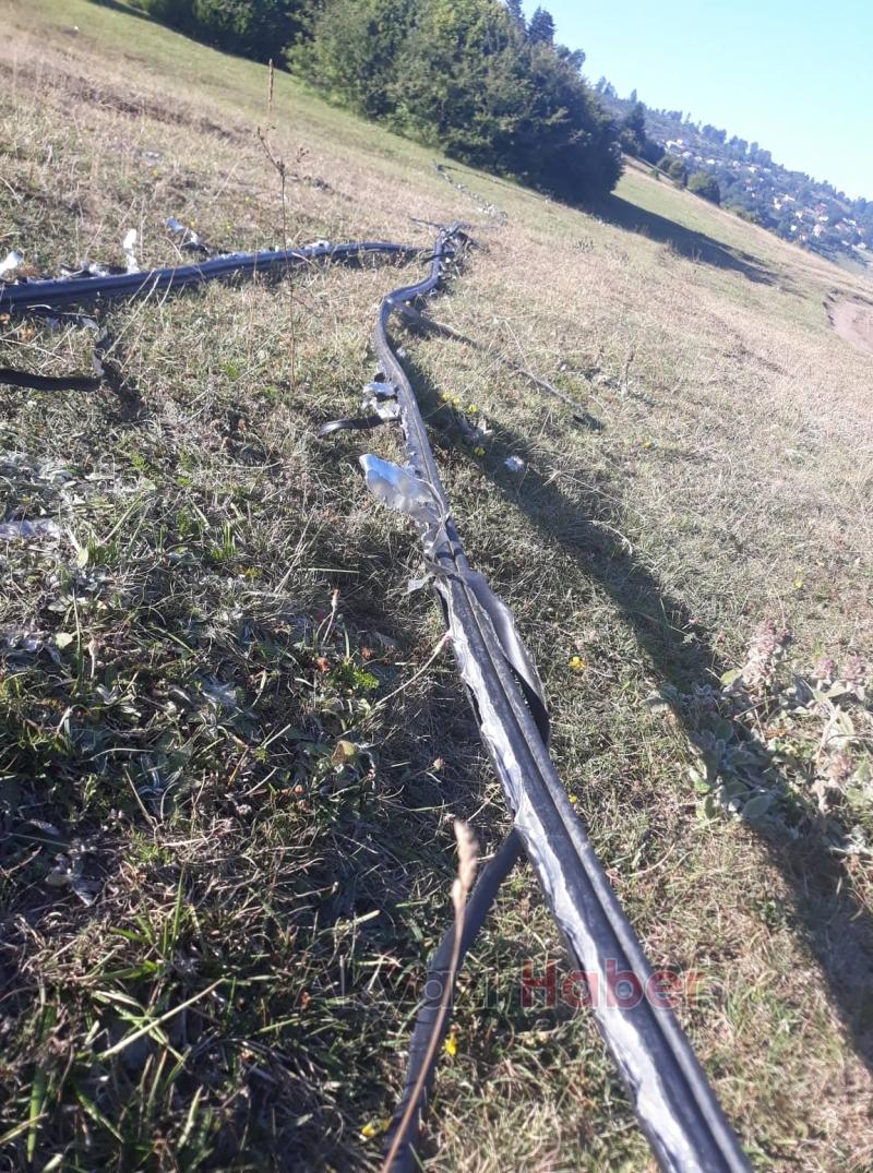 Kabloları Sultanpınar Yaylasına Getirip Ayıkladılar