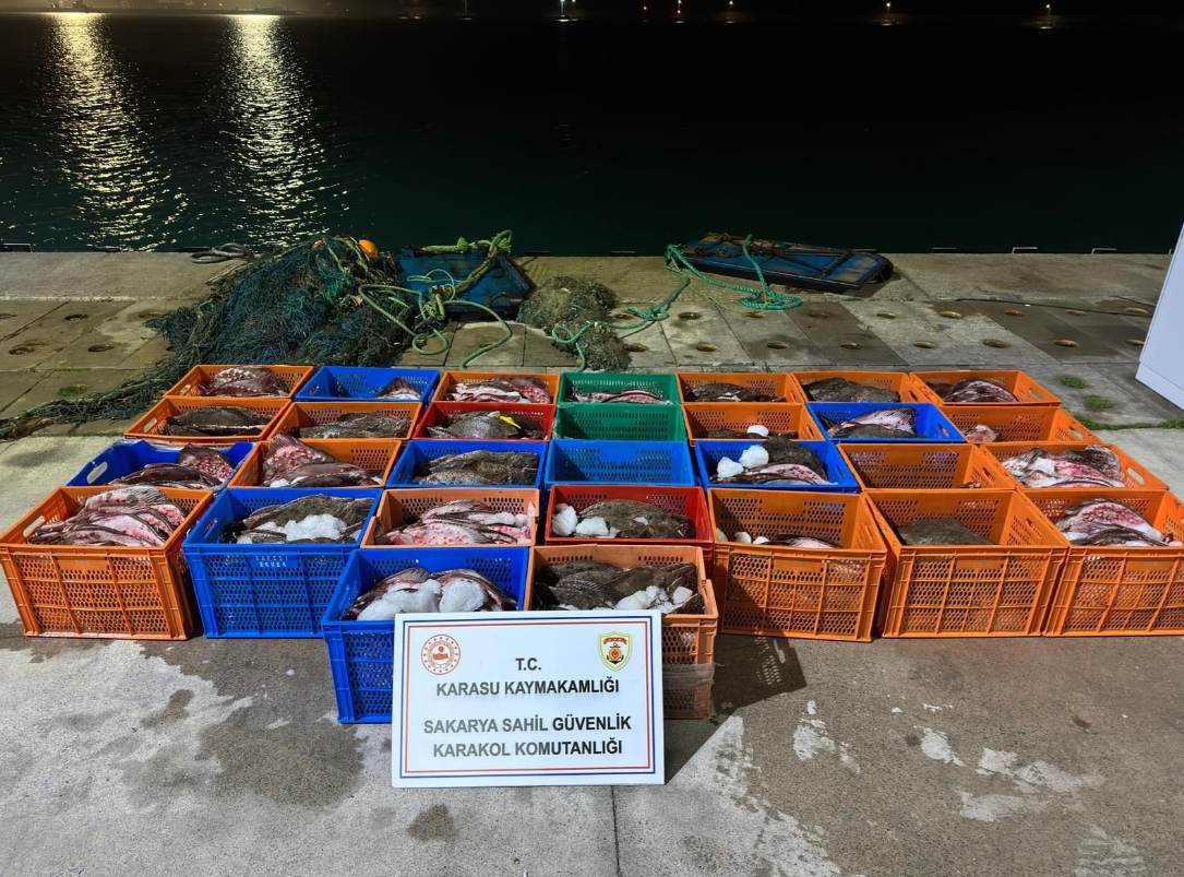 Kaçak avlanan yüzlerce Kalkan balığına el kondu