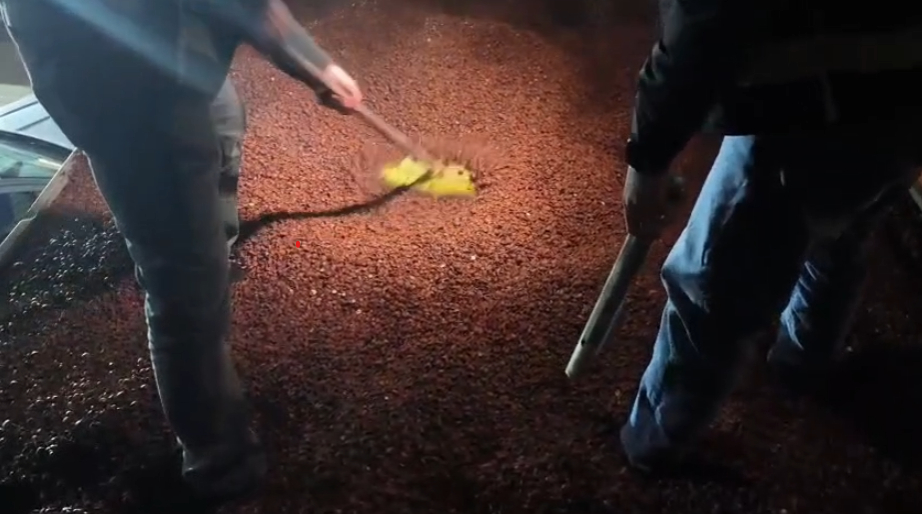 Kaçakçılık operasyonu kamerada