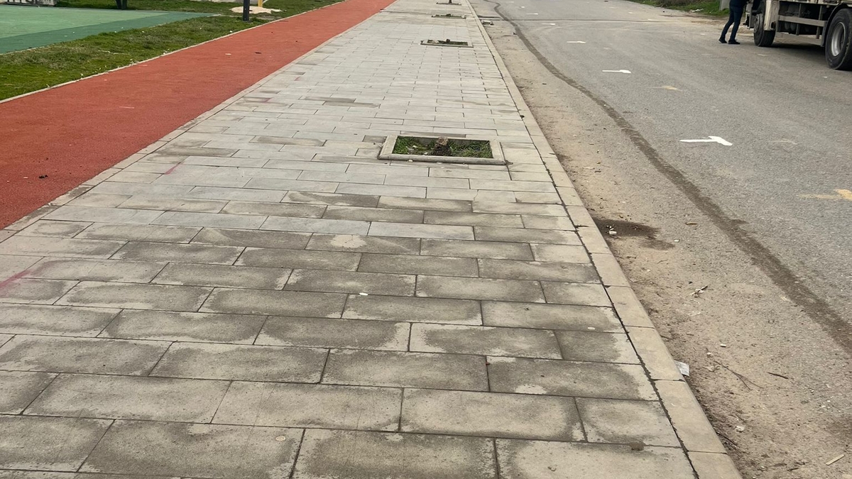 Kaldırımdaki ağaçların kesilmesi tepki çekti