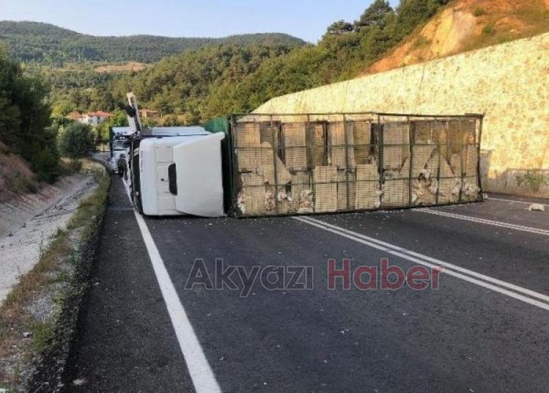 Kamyon devrildi piliçler yola saçıldı