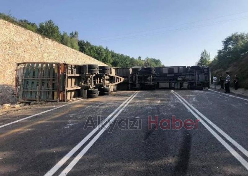 Kamyon devrildi piliçler yola saçıldı
