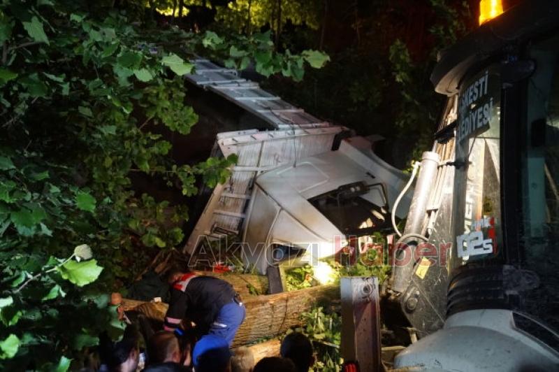 Akyazıda Kamyon Şarampole Yuvarlandı