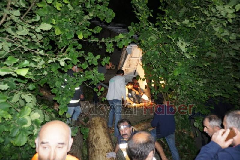 Akyazıda Kamyon Şarampole Yuvarlandı