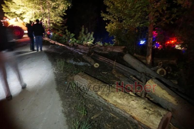 Akyazıda Kamyon Şarampole Yuvarlandı