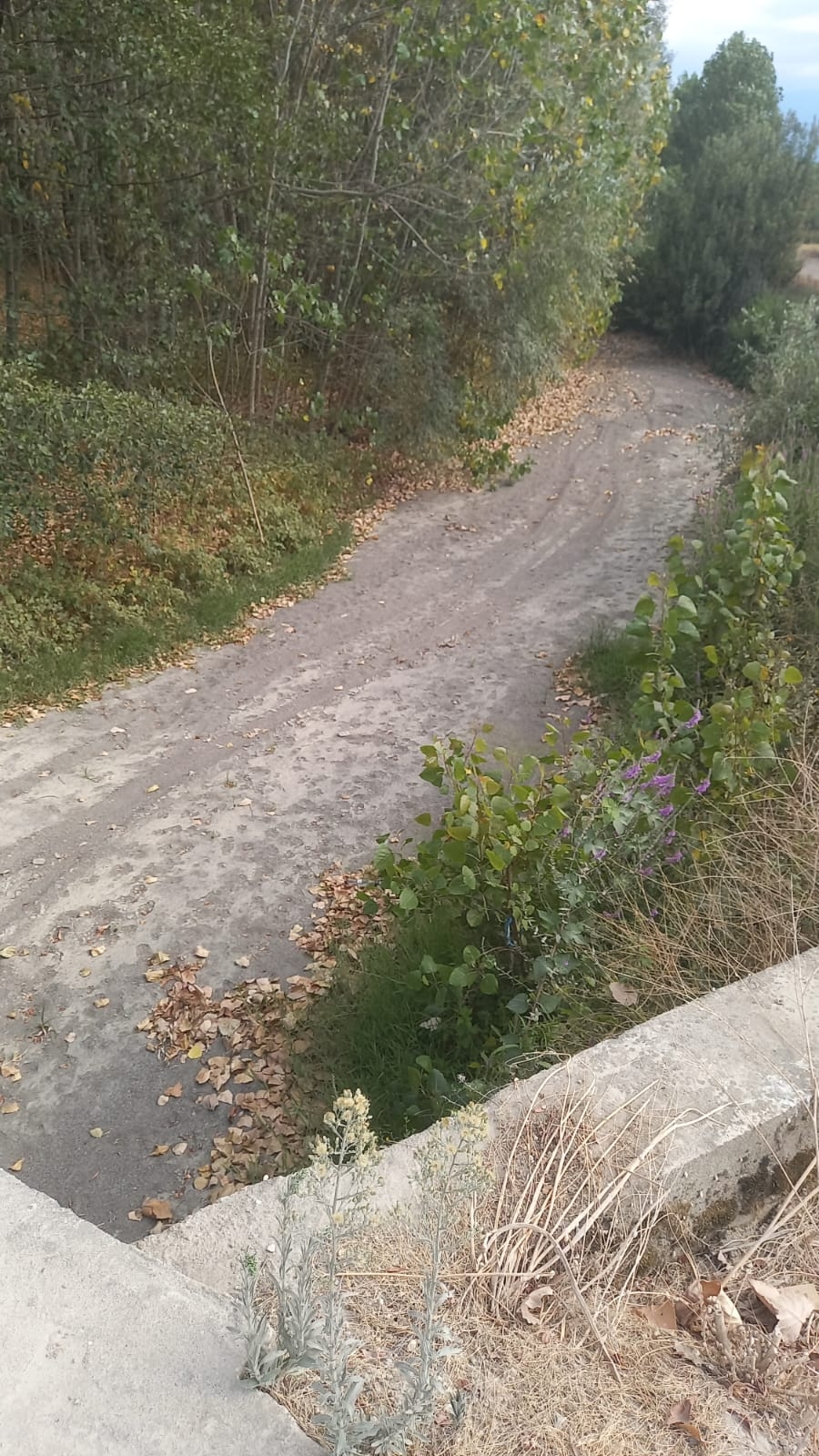 Kanlıçay Deresi kurudu