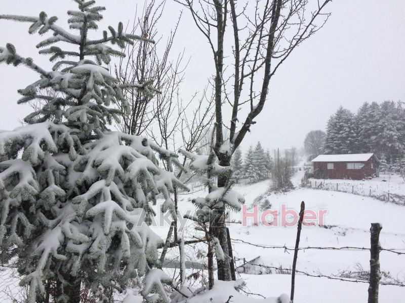 Kar yağışı etkili oluyor Yaylalar beyaza büründü