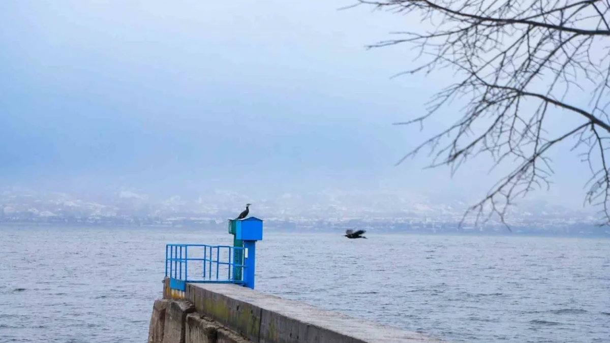 Kar yağışı sonrası Sapanca Gölü'nde son durum