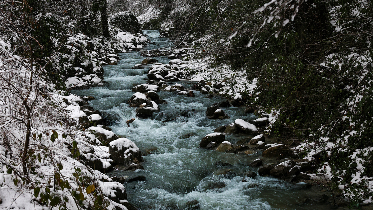 Kar yağışı sonrası Sapanca Gölü'nde son durum