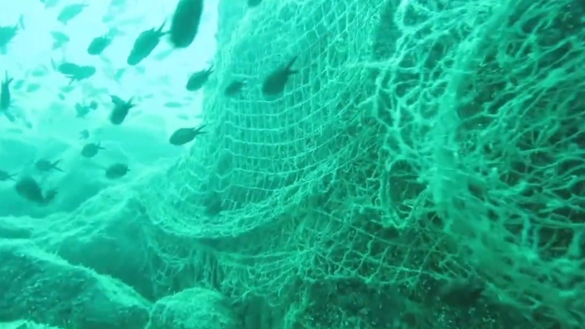 Karadeniz'de hayalet ağlar canlıları tehdit ediyor