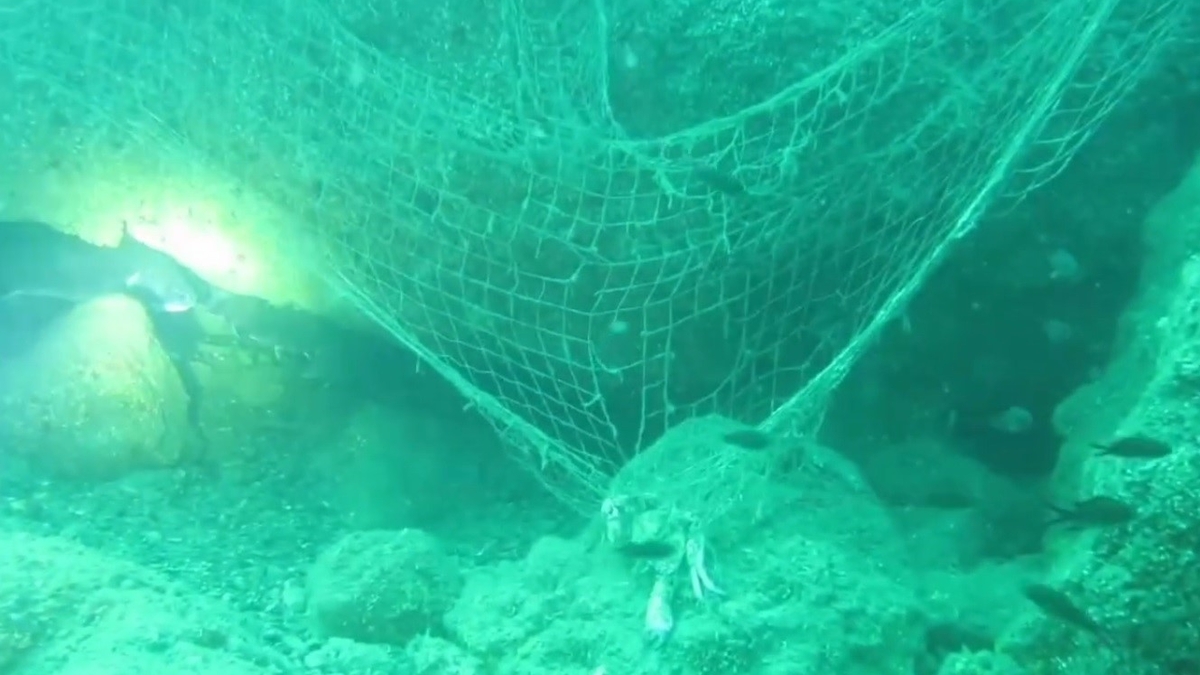 Karadeniz'de hayalet ağlar canlıları tehdit ediyor