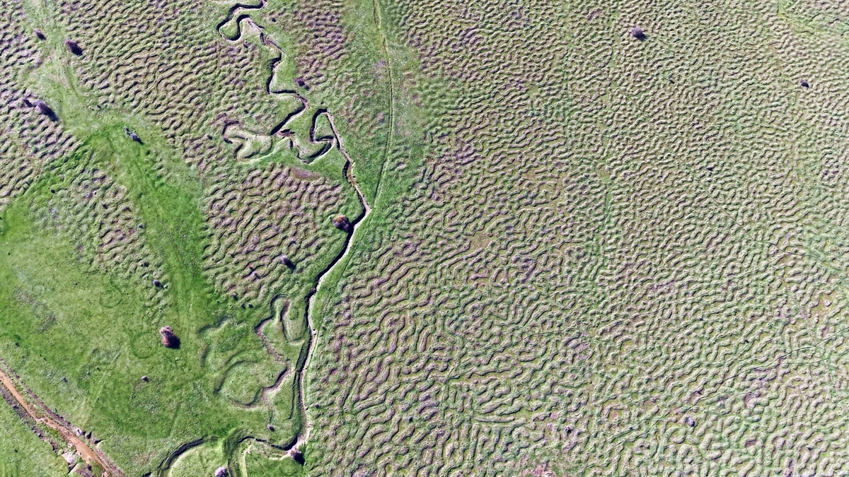 Karagöl Yaylası'nda hayran bırakan fotoğraflar