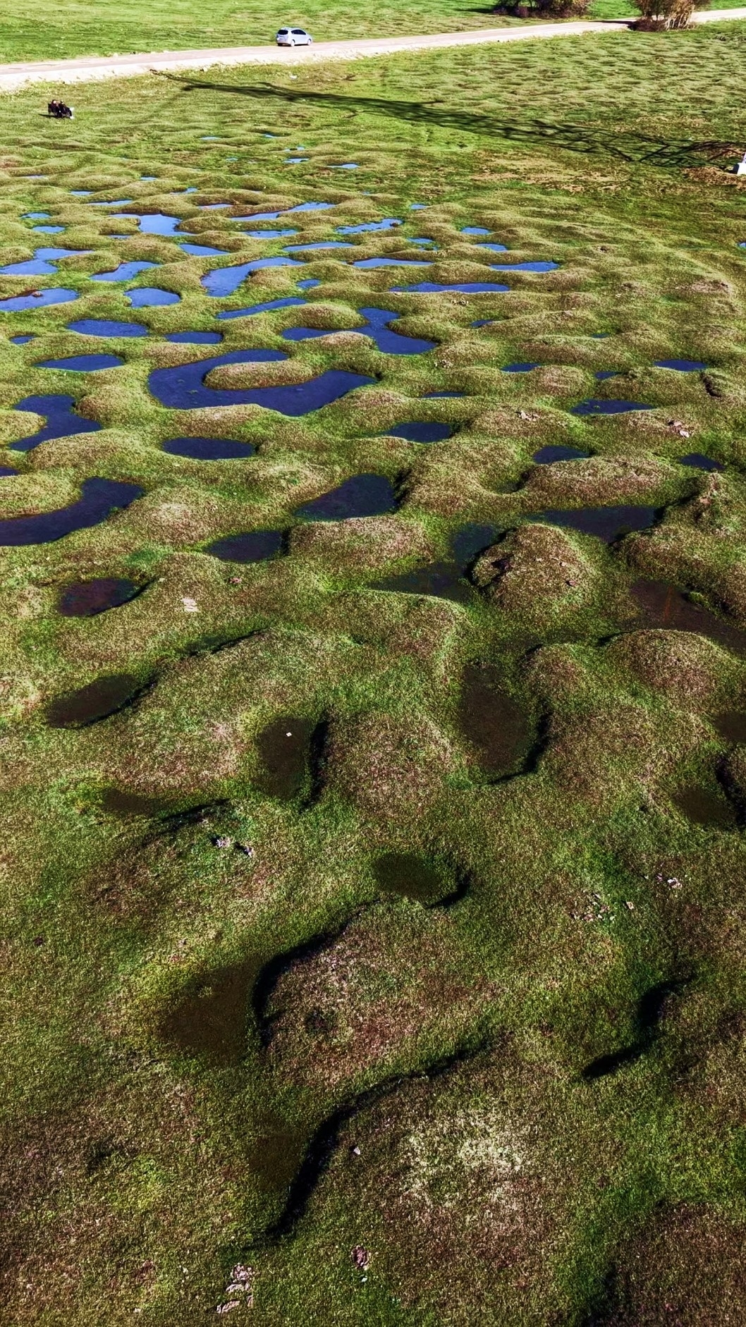 Karagöl Yaylası'nda hayran bırakan fotoğraflar
