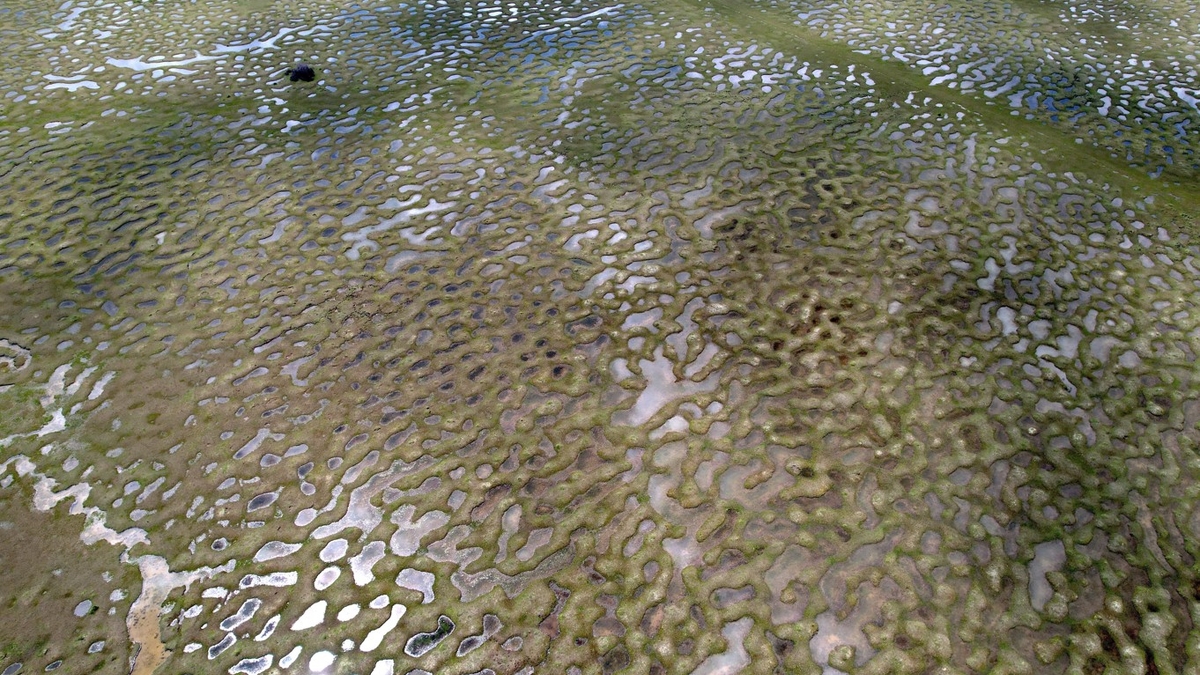 Karagöl Yaylası'ndaki kıvrımlı su yatakları hayran bırakıyor