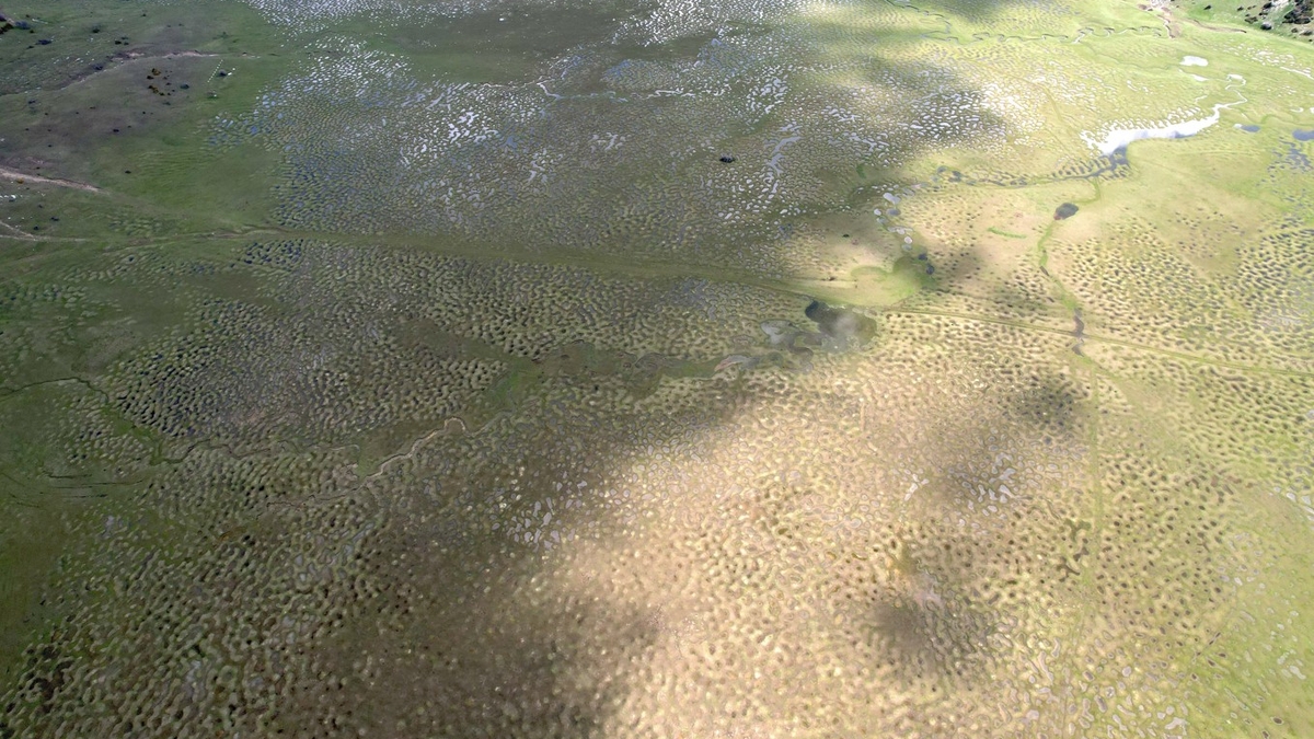 Karagöl Yaylası'ndaki kıvrımlı su yatakları hayran bırakıyor