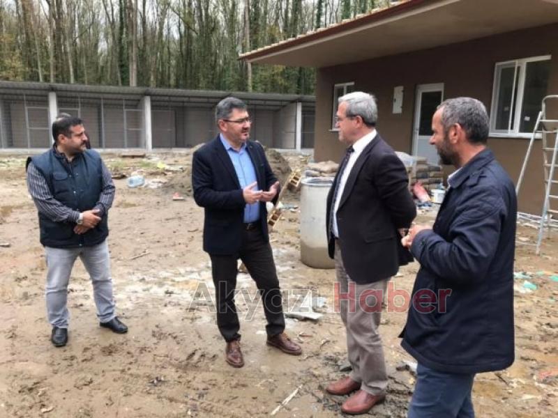 Köpek Barınağında Sona Doğru