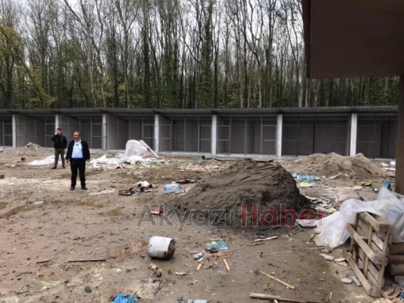 Köpek Barınağında Sona Doğru