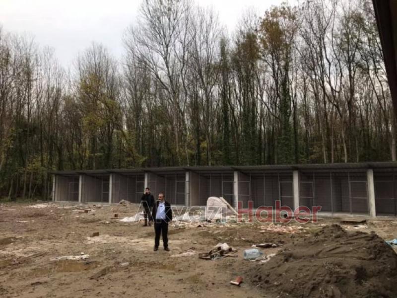 Köpek Barınağında Sona Doğru