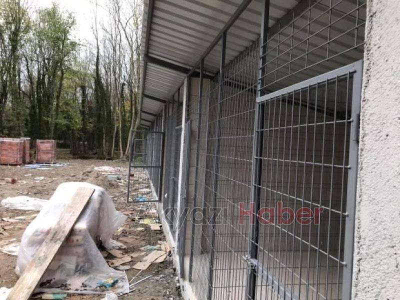 Köpek Barınağında Sona Doğru