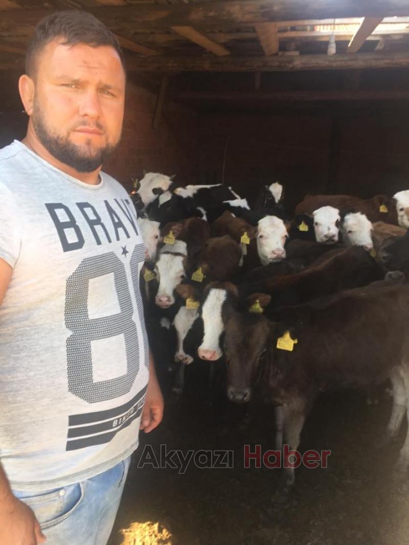  Kardeşler Besi Çiftliği'nde kurbanlık satışları devam ediyor
