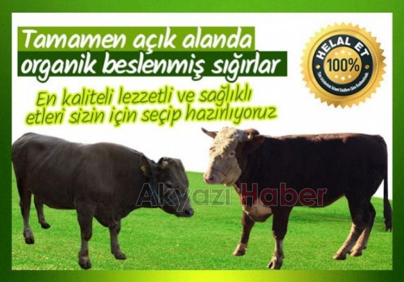 KARDEŞLER ET DÜNYASI  Kısa sürede Akyazı’nın En Gözde Kasabı olmayı Başardı