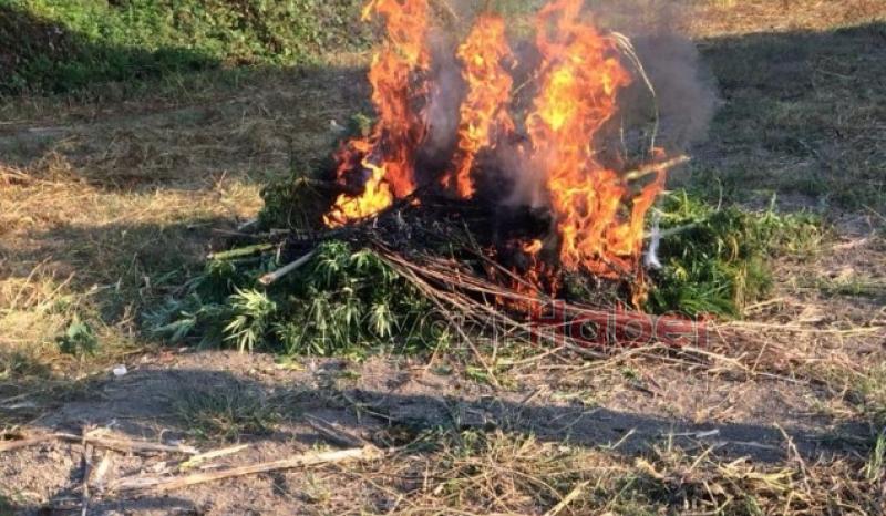 KARI KOCA KENEVİRCİ ÇIKTI 