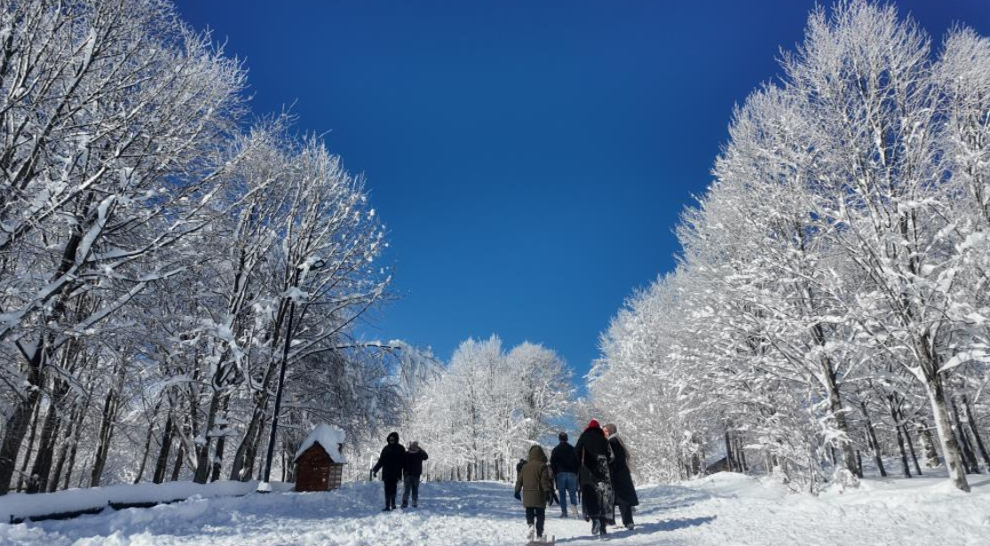 Kartepe'ye akın ettiler