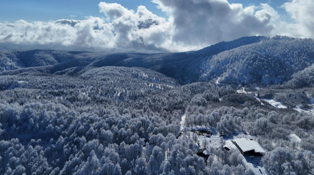 Kartepe'ye akın ettiler