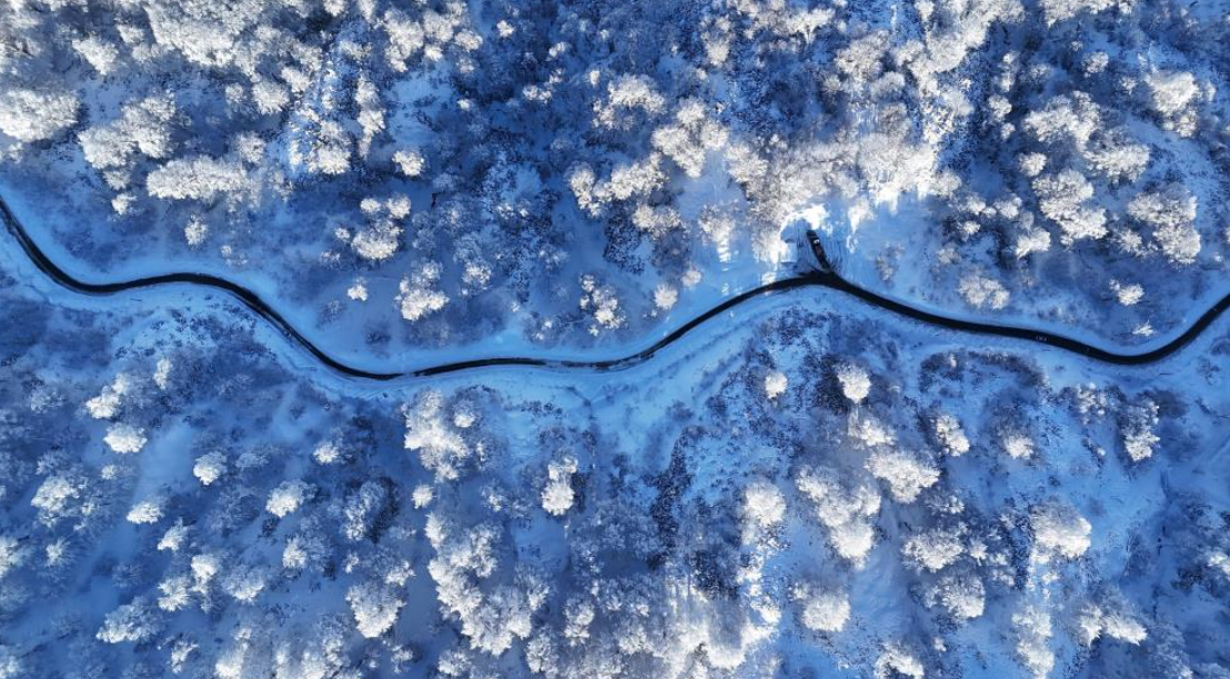 Kartepe'ye akın ettiler