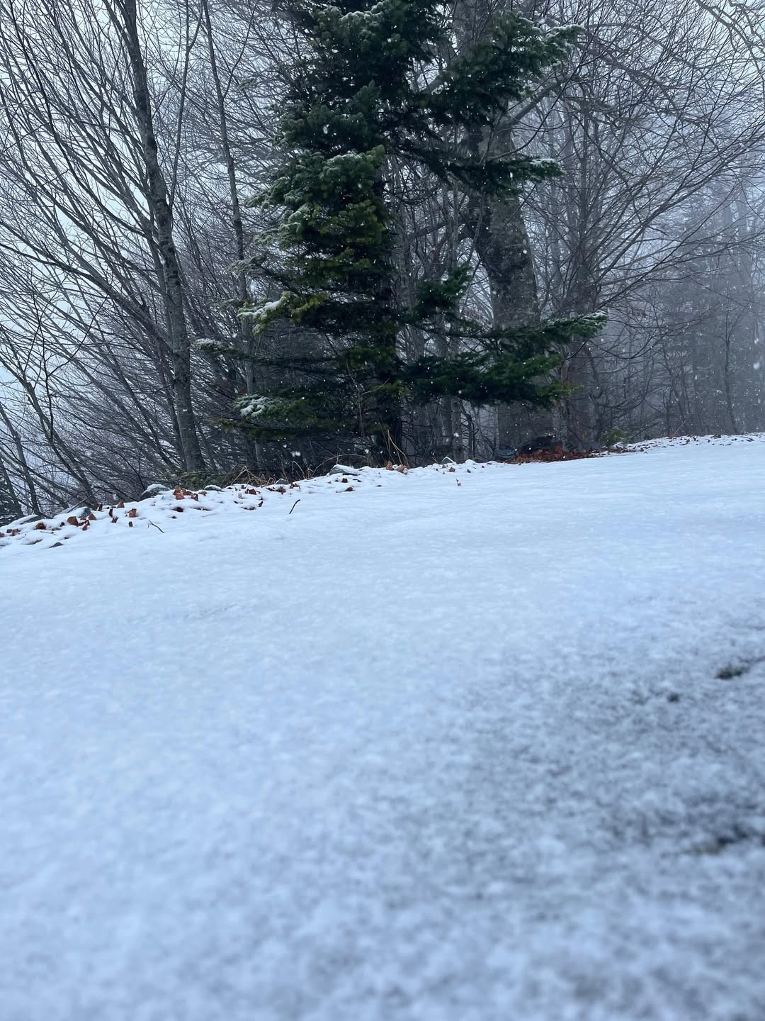 Kartepe'ye kar yağdı