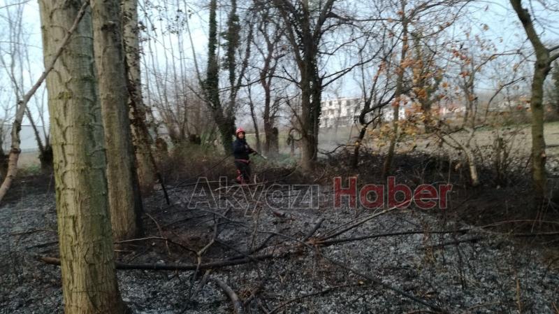 Kavaklıkta Çıkan Yangın Büyümeden Söndürüldü