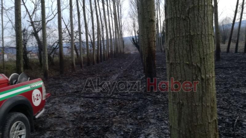 Kavaklıkta Çıkan Yangın Büyümeden Söndürüldü