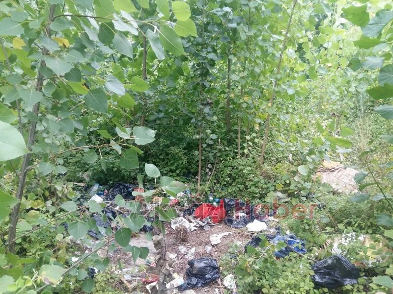 Kavaklıkta Tüfekli Saldırı