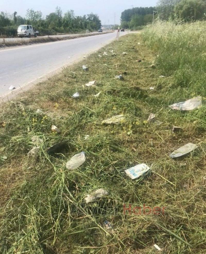  Kavşaklar Büyüyen Otlar Kesilmeye Başlandı