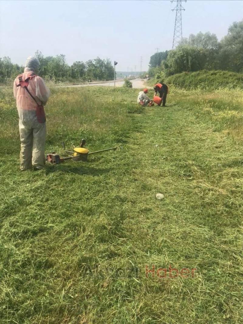  Kavşaklar Büyüyen Otlar Kesilmeye Başlandı