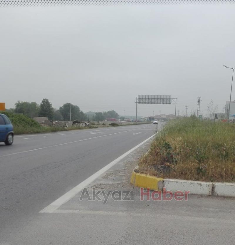 Kavşaklarda Büyüyen Otlar Tehlike Saçıyor