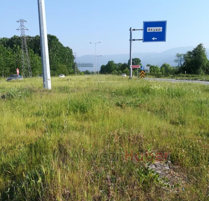 Kavşaklarda Büyüyen Otlar Tehlike Saçıyor