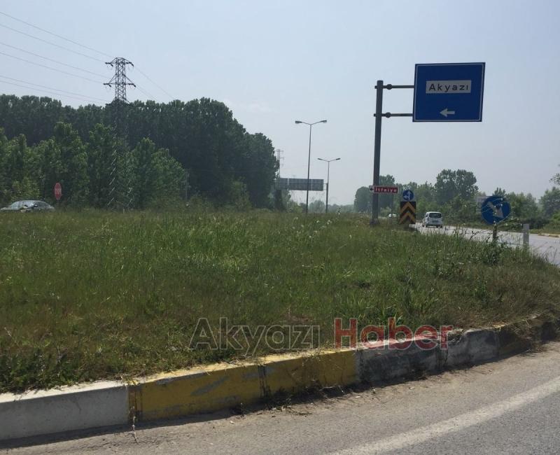 Kavşaklarda Büyüyen Otlar Tehlike Saçıyor