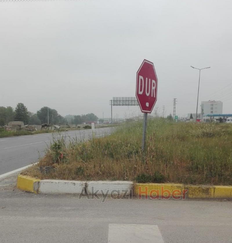 Kavşaklarda Büyüyen Otlar Tehlike Saçıyor